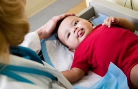 الإحليل السفلي